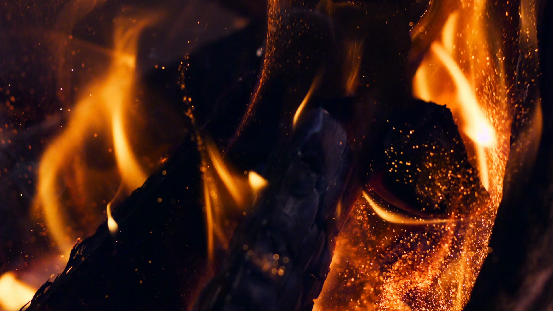 jb_toasted